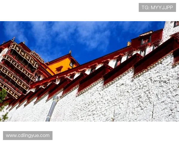 围绕美妙之夜展开的都市情感群像剧中温暖治愈心灵旅程