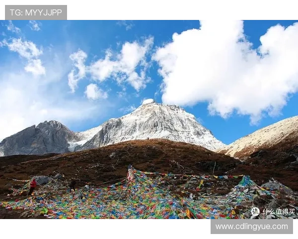 下一站：不止是抵达，更是心之所向的精彩