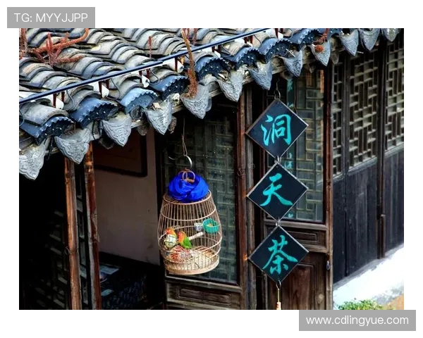 惊艳时光，定格永恒：《Iris》剧照里的流光溢彩与岁月悲歌