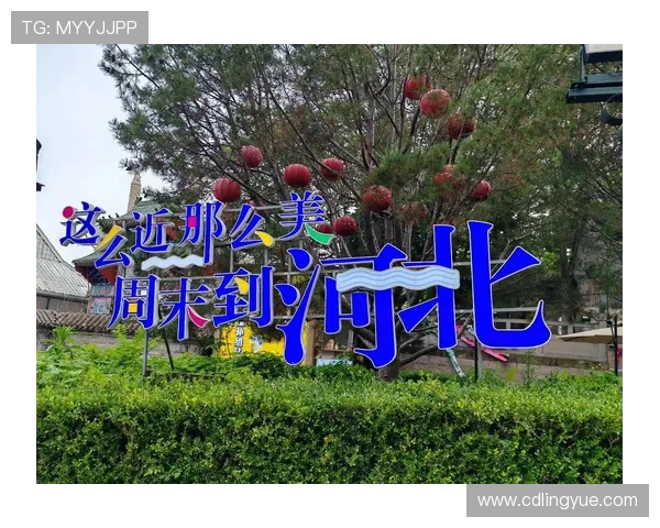 当爱跨越山海，洋嫁：一场关于选择、成长与爱的动人叙事