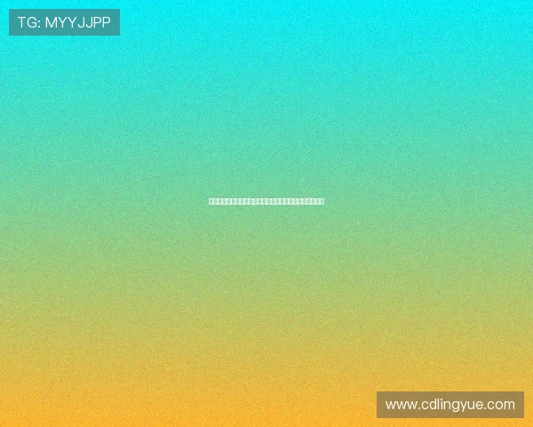 《四海漫游》：带你领略世界的精彩，感受生活的无限可能